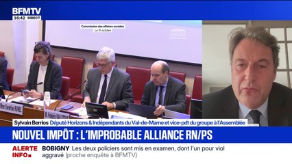 Impôt sur la fortune improductive: pour Sylvain Berrios, député (Horizons), "c'est une absurdité"