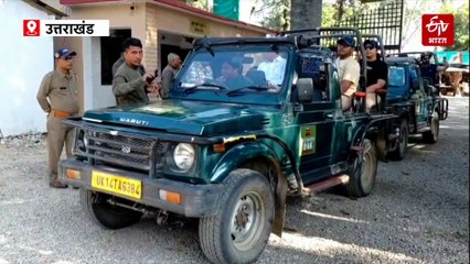 विदेशी मेहमानों से भरा जिम कार्बेट नेशनल पार्क, जनवरी 2026 तक की बुकिंग फुल