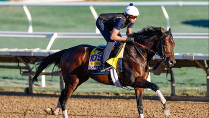Sierra Leone's Strategy in This Year’s Breeders' Cup Classic