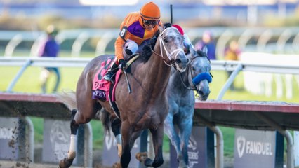 Previewing the Breeders' Cup Distaff: Major Contenders