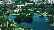 【短剧合集】 我家老婆超能打