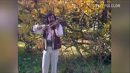 Stefan Cigu - Instrumental vioara 3 (Hora satului - arhiva TVR)