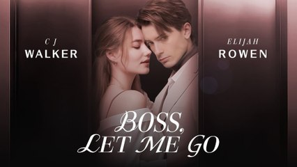 Boss Let Me Go