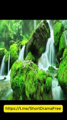 Pregnant Cinderella Engsub Mydrama - Full Movie