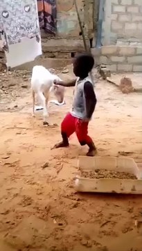 Hilarious Goat Headbutts Dancing Kid! Must See Fail
