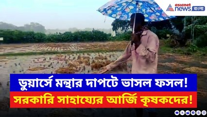 Jalpaiguri News: মন্থার তাণ্ডবে বিস্তীর্ণ কৃষিজমি জলের নীচে! সরকারি সাহায্যের আর্জি কৃষকদের