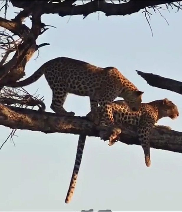 🔥 One wrong move.. What lesson did you learn from this?? 🤔 🔥