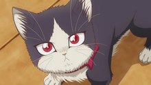 The Cat In My Room Episode 6 IN ENGLISH
