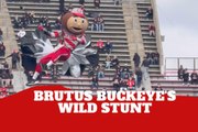 Ohio State Buckeyes Brutus zip lines into The Shoe