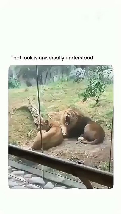 😂😂😂
