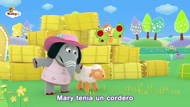 Mary tiene un corderito cordero 🐑 Rimas y canciones infantiles para niños _🎵 @BabyTVSP