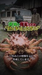 密林で発見された“陸を歩く巨大ガニ”