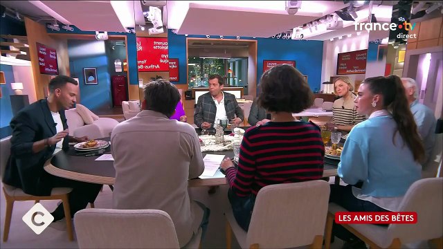 Yann Arthus-Bertrand évoque Daniel Balavoine dans C à vous le 31 octobre 2025 ©France 5