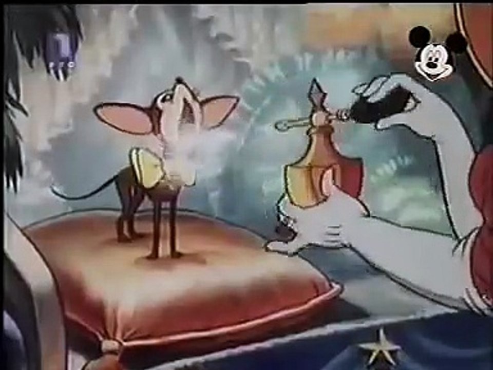 Miki Maus i Pluton - Izložba pasa