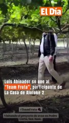 Luis Abinader Joins 'Team Fruta' on La Casa de Alofoke 2 🍍