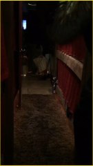 Camilla Cabello levando um susto das meninas