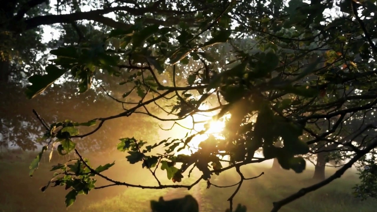 BALANG TAMAK SEASON 1 -The Journey- Episode 4