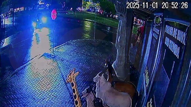 Motociclista bate a cabeça em placa de PARE após ser fechado na Avenida Tancredo Neves em Cascavel