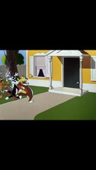 A Mouse Divided (1953)