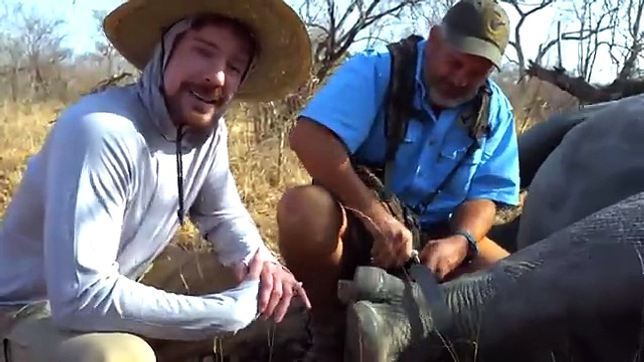 I Saved 1,000 Animals From Dying