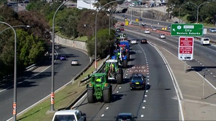 Farmers hope new ‘Buy Australia’ campaign will boost local produce