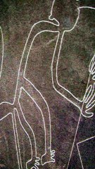 Unlocking the Mystery of the Nazca Lines_ Ancient Wonders of Peru #shorts