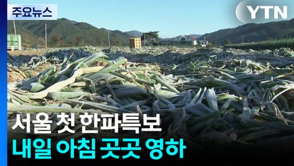 [날씨] 서울 첫 한파특보...내일 아침 곳곳 영하 / YTN