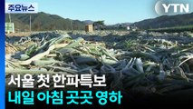 [날씨] 서울 첫 한파특보...내일 아침 곳곳 영하 / YTN