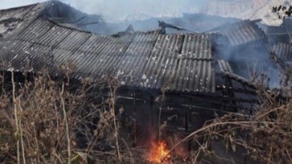 포천 돼지 농가서 화재 잇따라...860여 마리 피해 / YTN