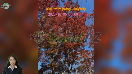 「TravelPZ」 Review Gyeongju Private Sightseeing Car Charter from Busan