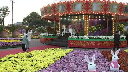진한 국화 향기 속 가을 낭만...함평 국향대전 '북적' / YTN