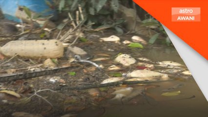 Sungai Johor tercemar, lebih 150 nelayan terjejas