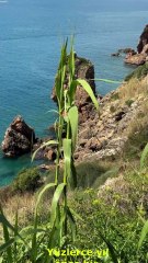 Alışılmışın Dışında Düşünme - Yaratıcı Düşünme