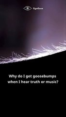 Why Music and Honest Words Give Goosebumps?
