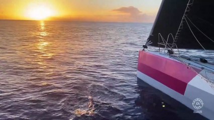 TRANSAT CAFÉ L'OR Le Havre Normandie2025 - Récap du jour - 30 octobre