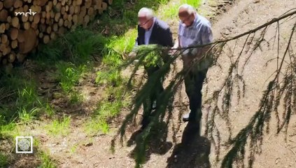 Kripo live - Tätern auf der Spur-Verkohlte Leiche an Transitstrecke
