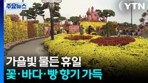가을빛 물든 휴일...꽃·바다·빵 향기 가득 / YTN
