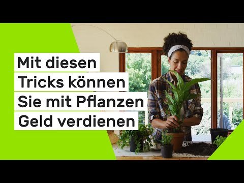 Mit diesen Tricks können Sie mit Pflanzen Geld verdienen