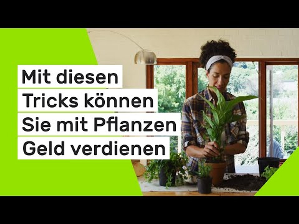 Mit diesen Tricks können Sie mit Pflanzen Geld verdienen