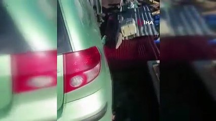 Gümüşhane’de ayı park halindeki araca saldırdı