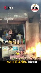 सतना में बेखौफ बदमाश