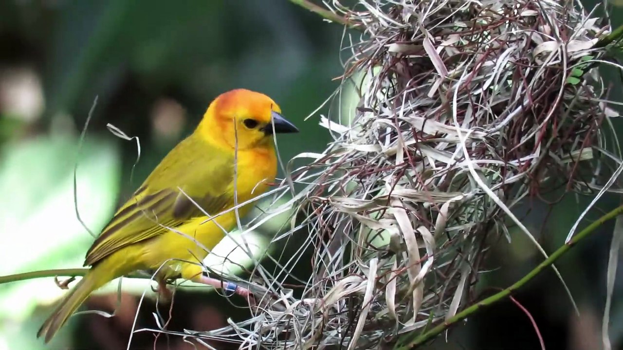 NVR-104LS-P4 Cắm là chạy! PoE đỉnh cao nhà Uniarch!