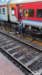 The struggle of life: a daily battle on the tracks 💔