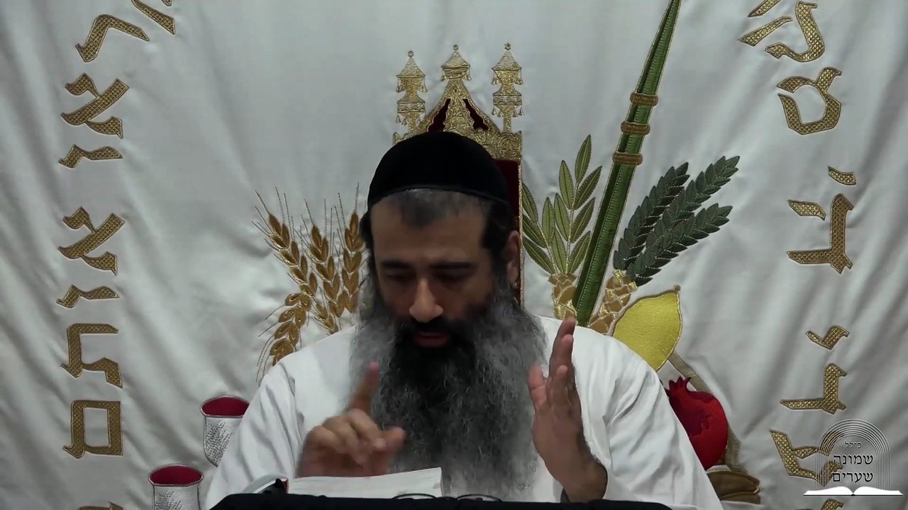 הלבשה איכותית והלבשה כמותית 19