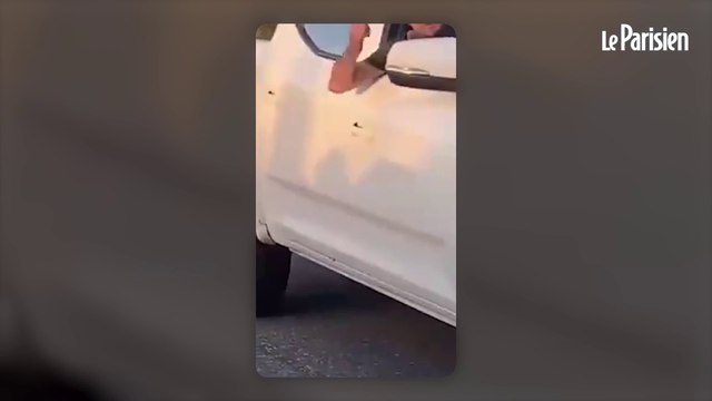 Un chameau de l’armée russe capturé par des soldats ukrainiens