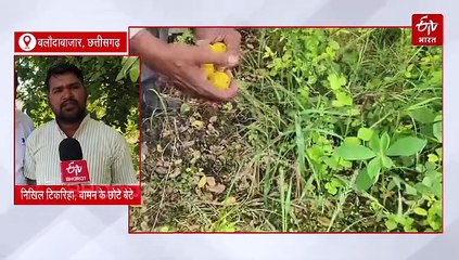 वामन टिकरिहा डॉ. खूबचंद बघेल कृषक रत्न के लिए चयनित, बलौदाबाजार जिले से पहली बार राज्य स्तरीय पुरस्कार के लिए चयन