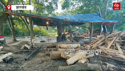 देवघर में हरे पहाड़ों की छाती पर चल रही आरी, वन विभाग ने दिखाई सख्ती!