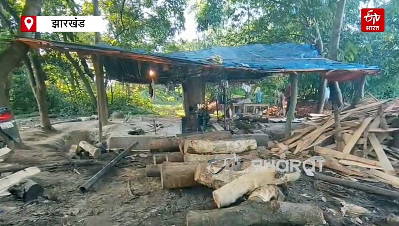 देवघर में हरे पहाड़ों की छाती पर चल रही आरी, वन विभाग ने दिखाई सख्ती!