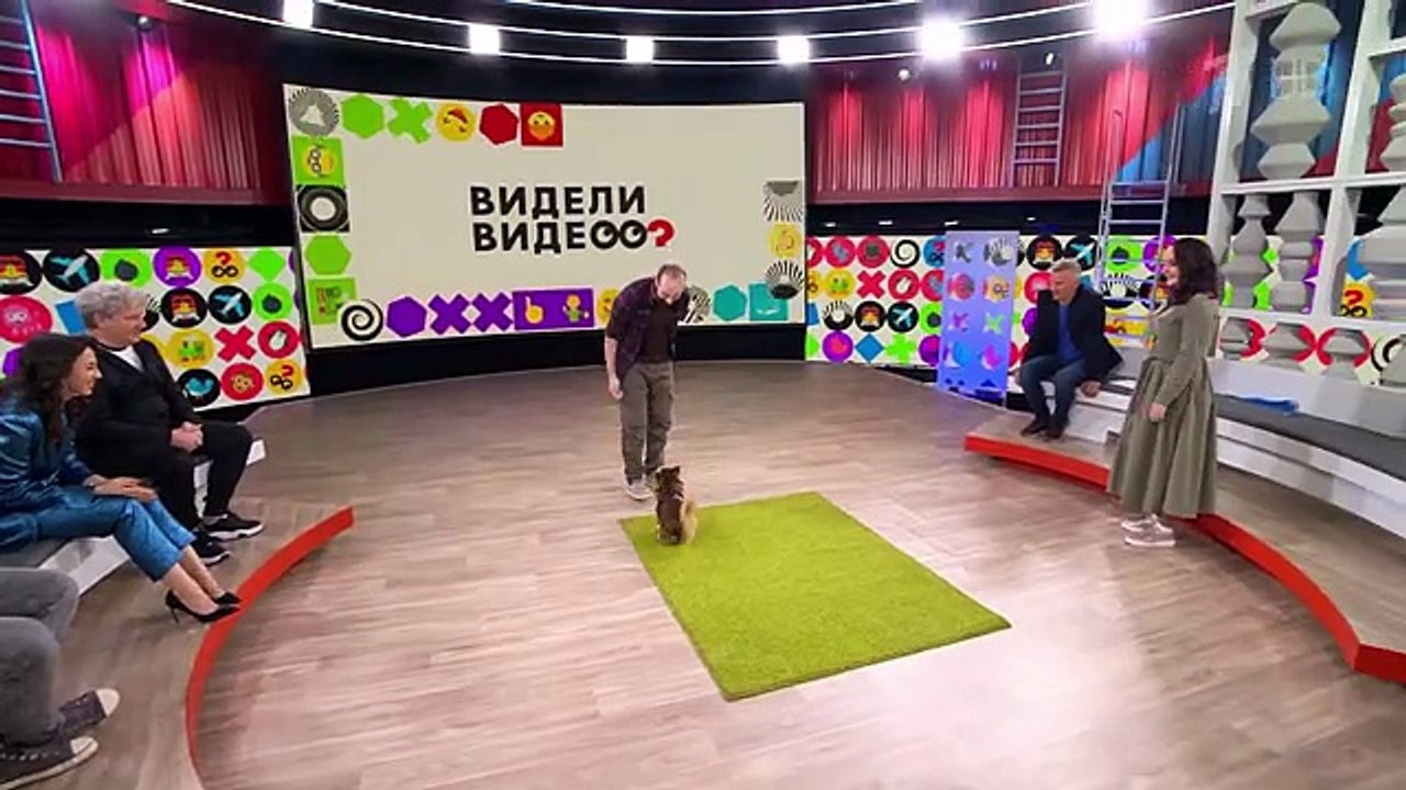 Видели видео? Выпуск от 02.11.2025