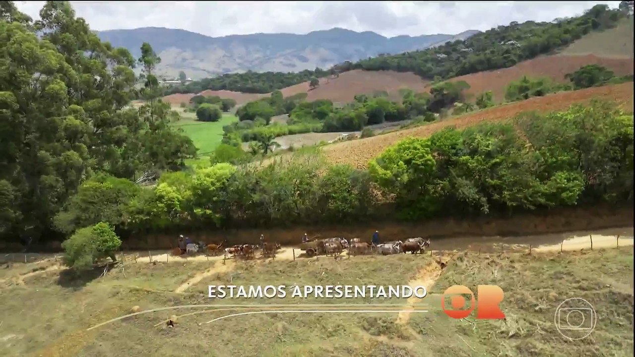 Destaques Viver Sertanejo (02/11/2025)